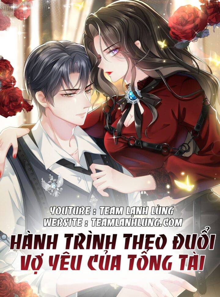 HÀNH TRÌNH THEO ĐUỔI VỢ YÊU CỦA TỔNG TÀI